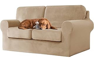 61BR8enKkYL._AC_UL320_