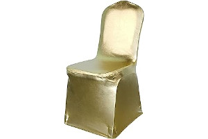 61W1QekvkPL._AC_UL320_