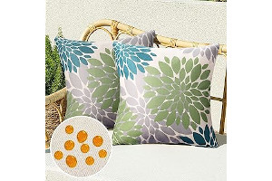 815ATMqLcQL._AC_UL320_