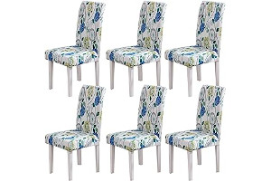 815EvS0jxIL._AC_UL320_