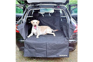 A1GRU-keIGL._AC_UL320_